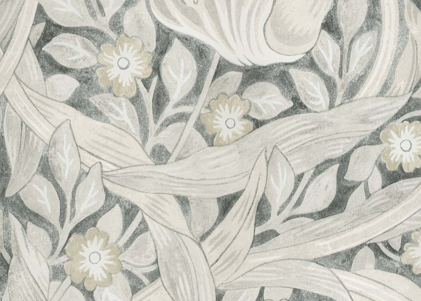 Morris & Co Pure Morris North wallpapers Pure Pimpernel | Tapetväljaren